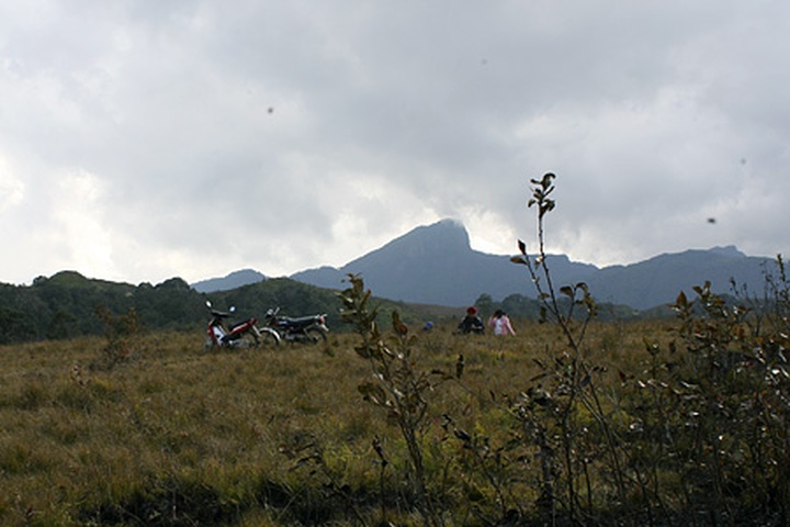 Y Ty "cloud nine" for Valentine visitors - 17