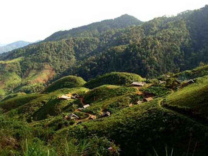 Sustainable development for forestry in focus - 1