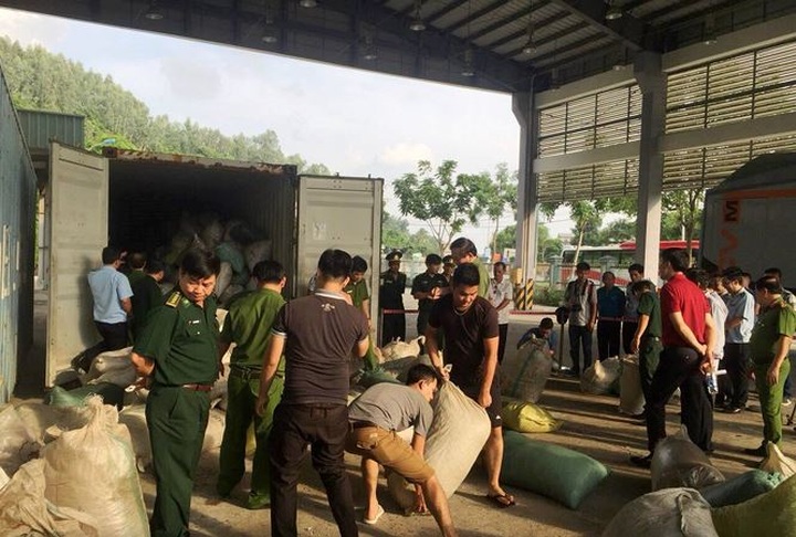 Tonnes of ivory and pangolin scale seized in Danang - 1