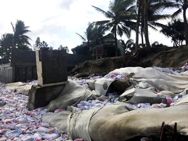 Hoi An seeks government help to protect Cua Dai Beach - 1 Hoi An seeks government help to protect Cua Dai Beach - 1