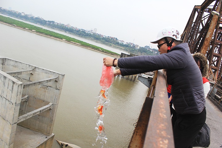 Carp released on Kitchen Gods' Day - 2