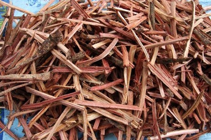 Herb becomes rare due to rampant harvesting - 1 Herb becomes rare due to rampant harvesting - 1