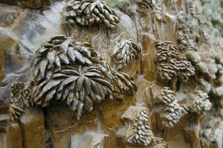 Ornamental stone and sculptures new trend among wealthy - 7