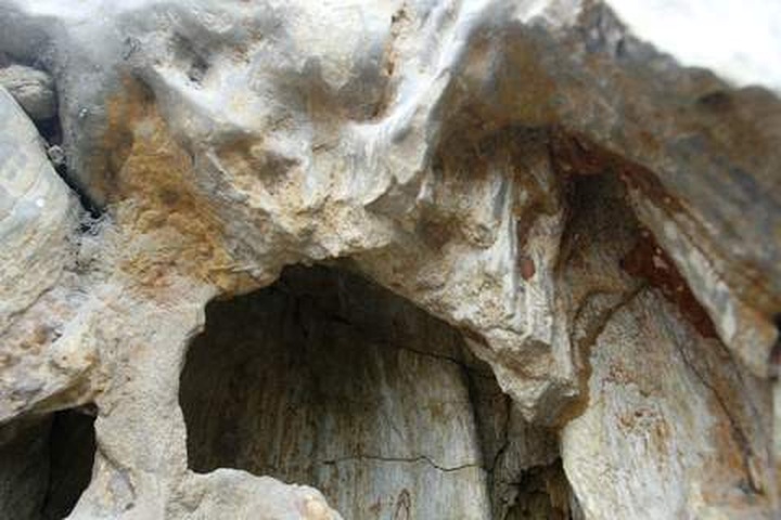 Ornamental stone and sculptures new trend among wealthy - 20