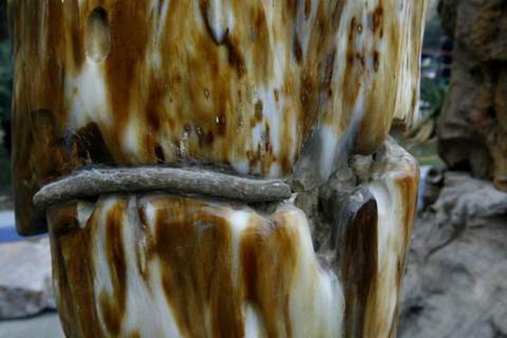 Ornamental stone and sculptures new trend among wealthy - 22