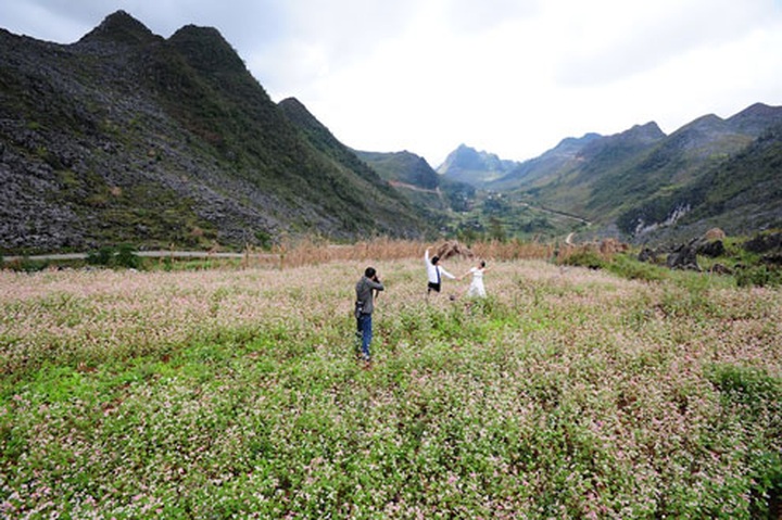 Dong Van stone plateau in buckwheat flower season - 2