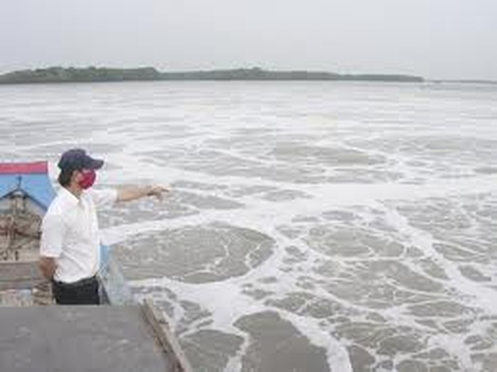 Scientists urge to prohibit some industries to protect Dong Nai River - 1