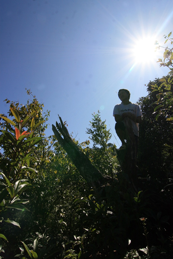 “Athletes” on the roof of Indochina - 6 “Athletes” on the roof of Indochina - 6
