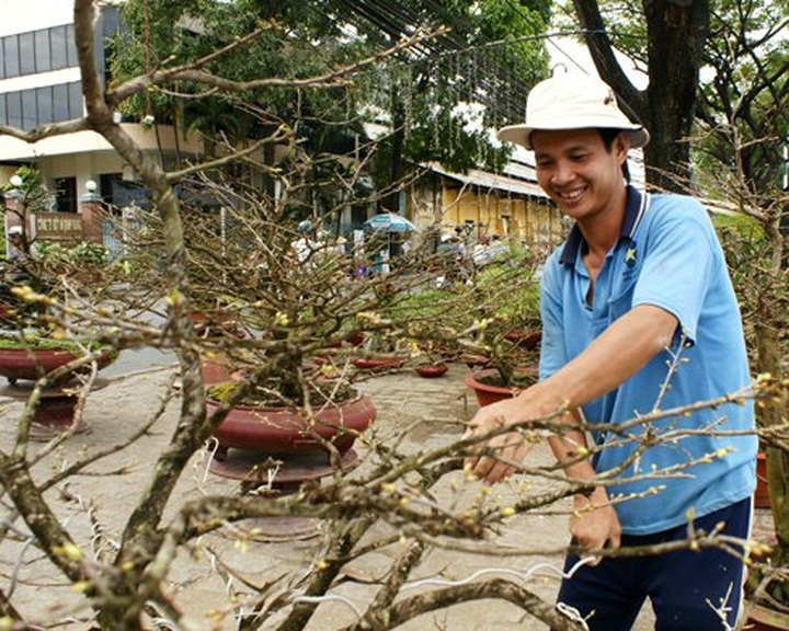 Tet flower market in Saigon - 3