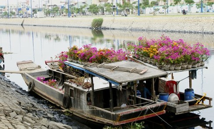 Tet flower market in Saigon - 4