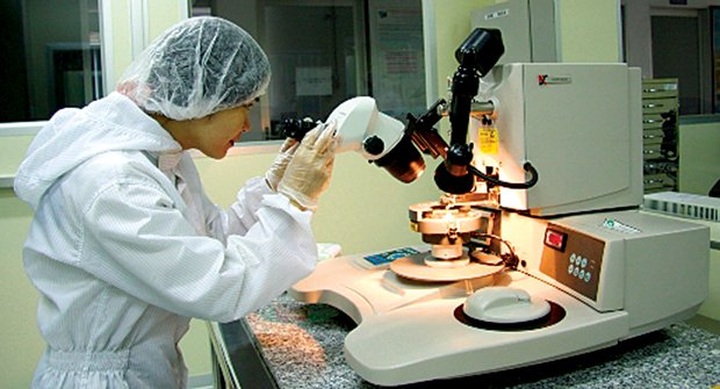 Viet Kieu bring grey matter to the homeland - 1