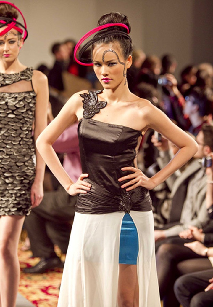 Tuyet Lan performs Indian fashion in New York - 2