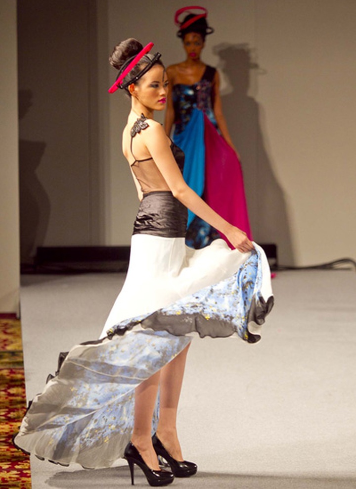 Tuyet Lan performs Indian fashion in New York - 5