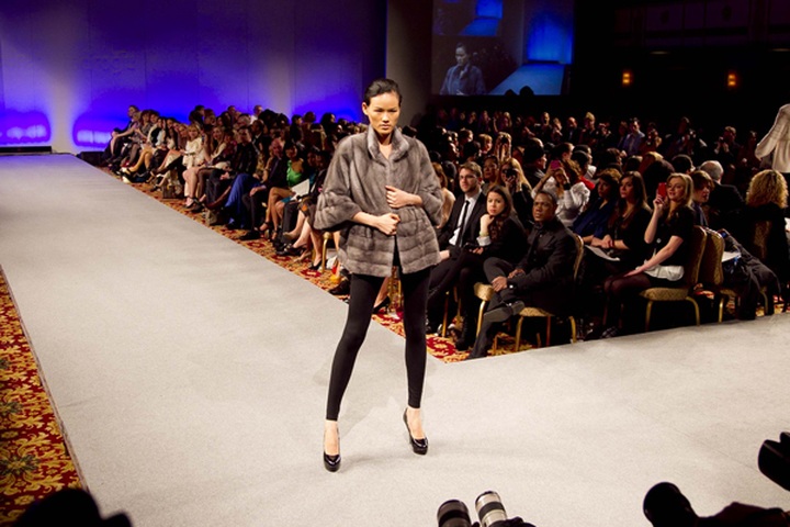 Tuyet Lan performs Indian fashion in New York - 10