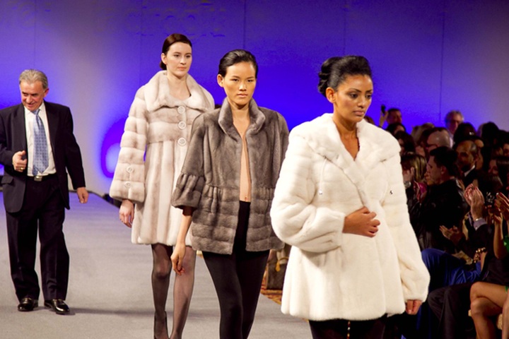 Tuyet Lan performs Indian fashion in New York - 13