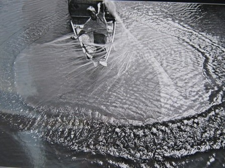 Mekong Delta’s vitality in pictures - 2