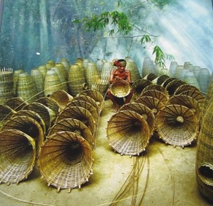 Mekong Delta’s vitality in pictures - 1