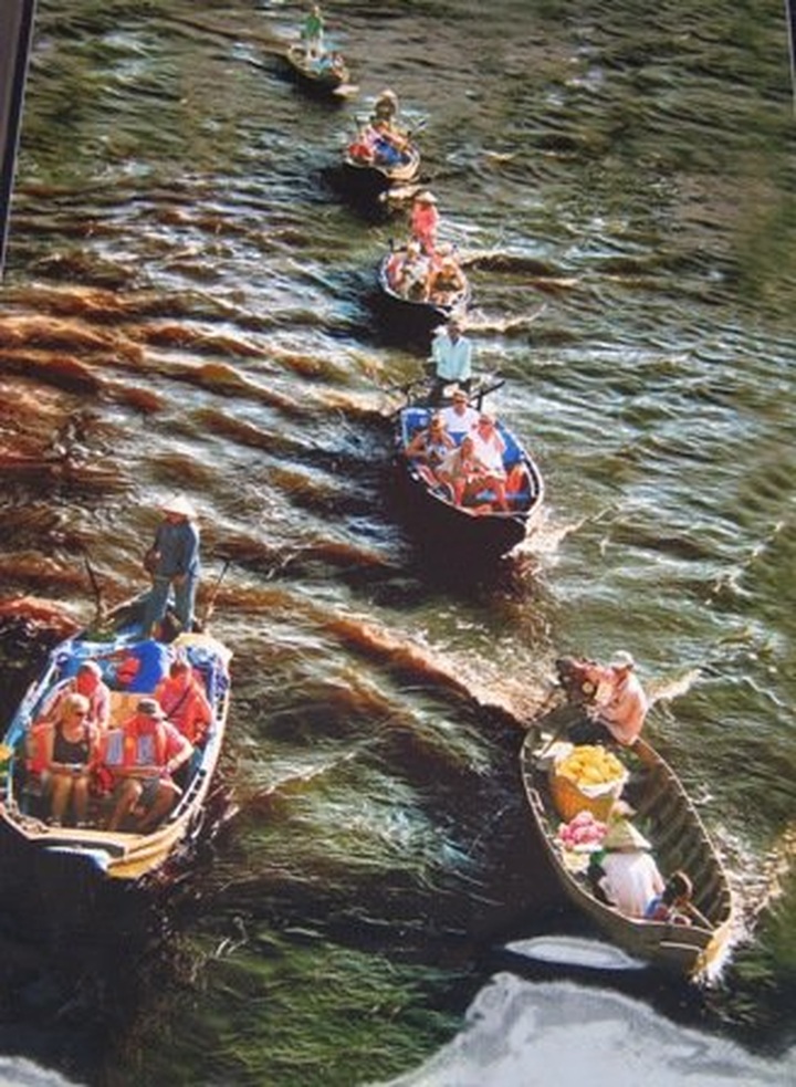 Mekong Delta’s vitality in pictures - 7