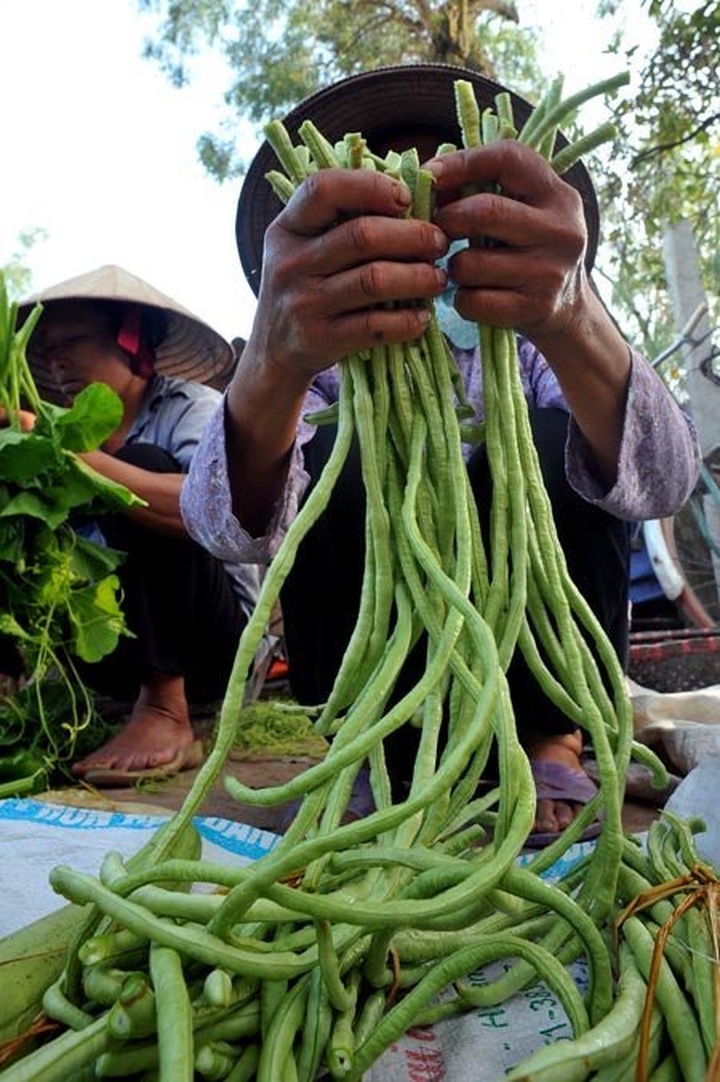 A rural market amid Hanoi - 9 A rural market amid Hanoi - 9