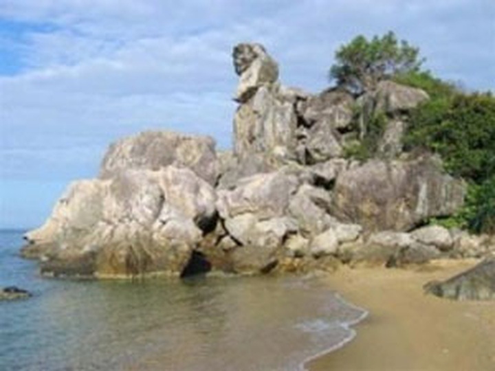 Biosphere reserve to invite foreign experts for monkey work - 1