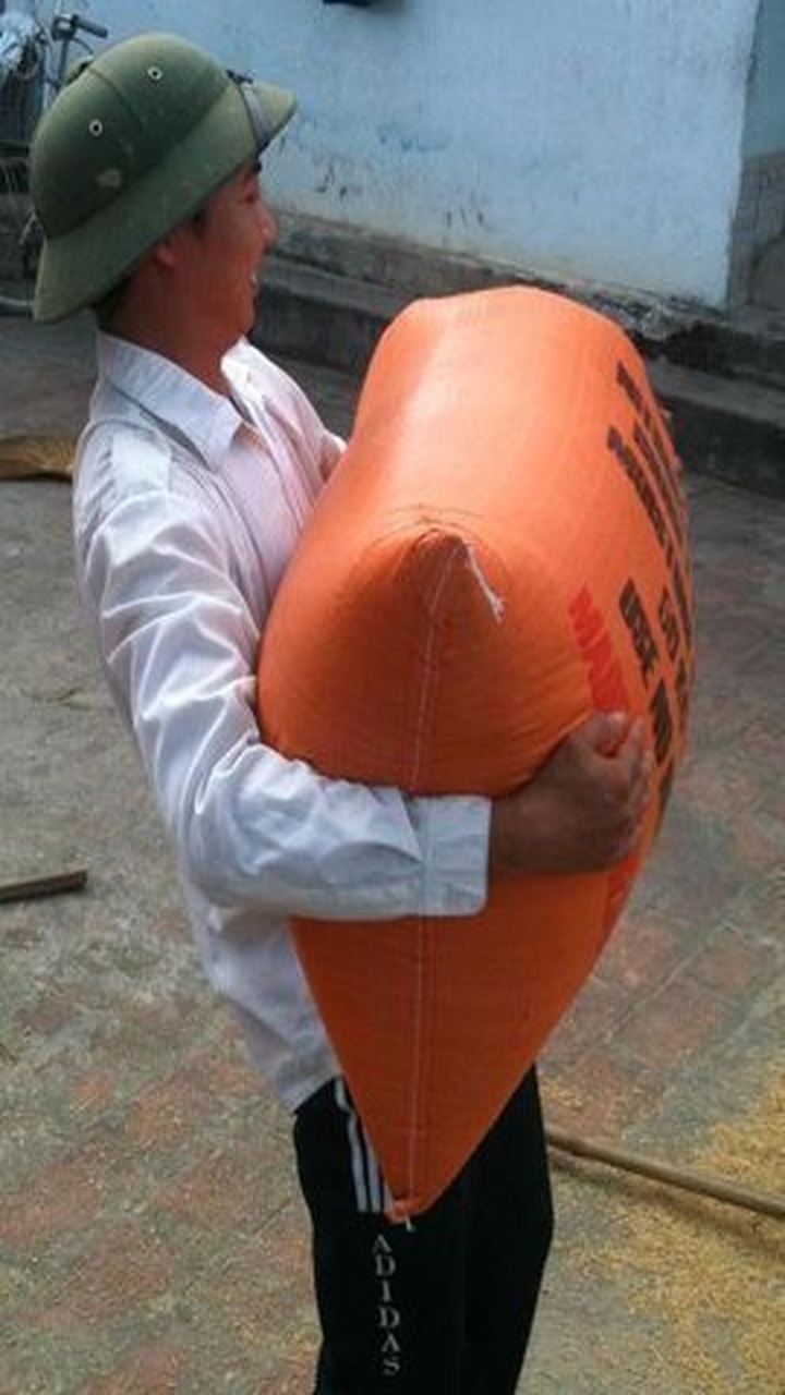 University graduates carry rice, retail goods to bide their time - 1 University graduates carry rice, retail goods to bide their time - 1