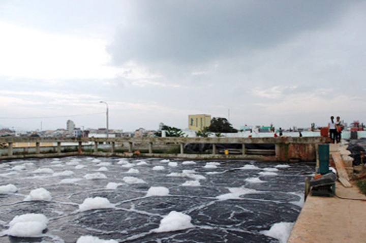 Businesses need “lever” to invest in environmental protection projects - 1