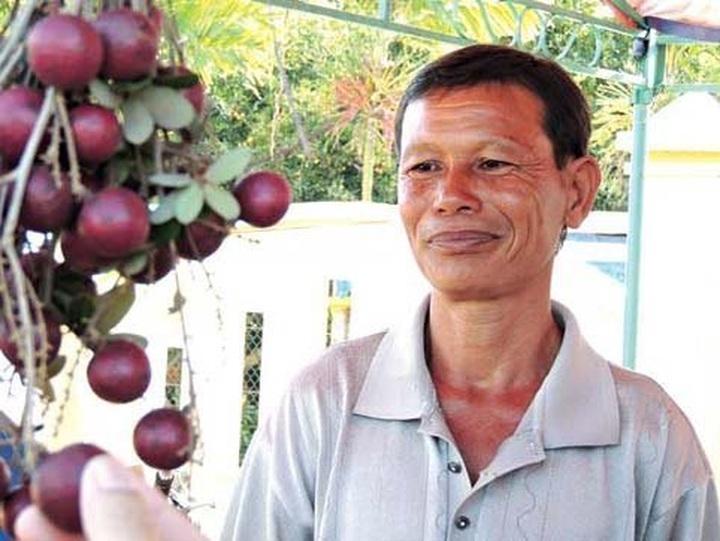 Exuberant orchards in Mekong Delta - 12 Exuberant orchards in Mekong Delta - 12