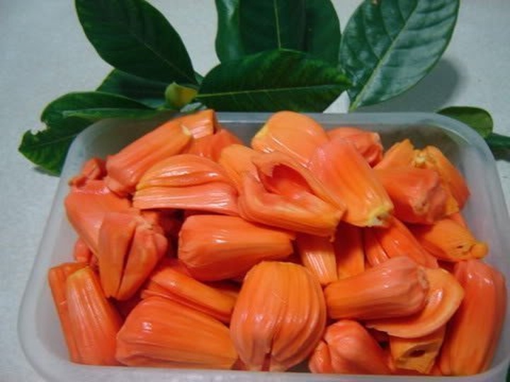 Exuberant orchards in Mekong Delta - 11 Exuberant orchards in Mekong Delta - 11