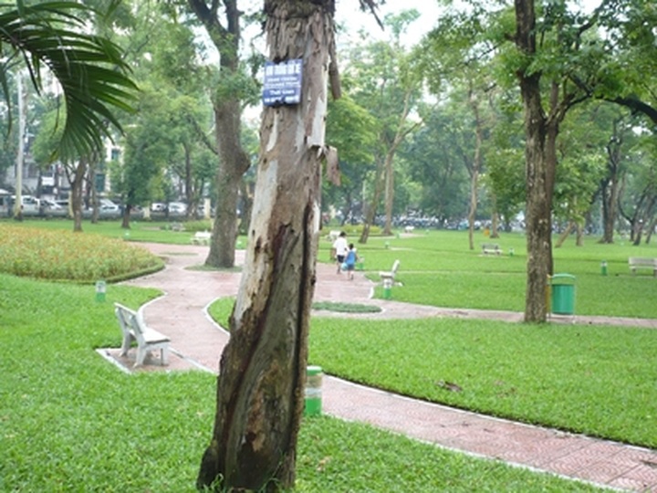 Hanoi People’s Council vows to protect park area - 1 Hanoi People’s Council vows to protect park area - 1