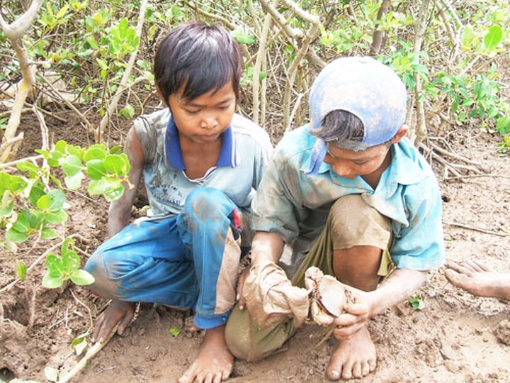 Poverty blocks the students’ steps to school - 1 Poverty blocks the students’ steps to school - 1