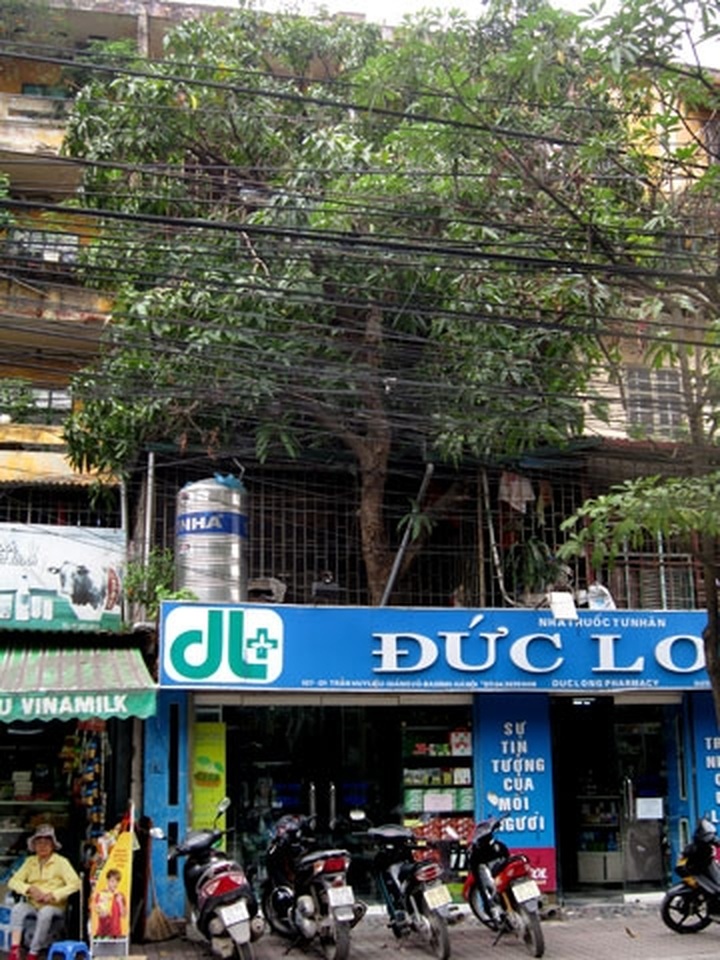 Overcrowded Hanoi maintains trees - 1