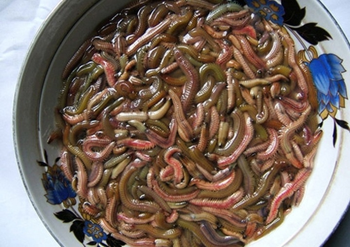 Slippery snacks of Vietnam - 1