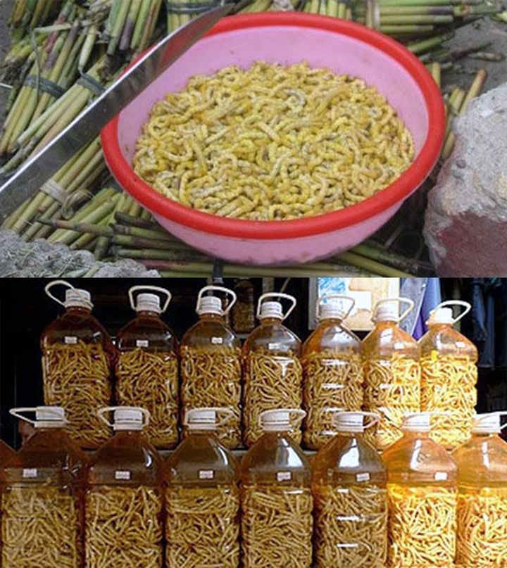 Slippery snacks of Vietnam - 4