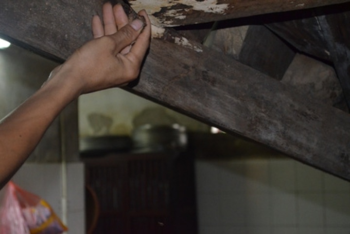 Hanoi’s One-pillar Pagoda faces serious deterioration - 7