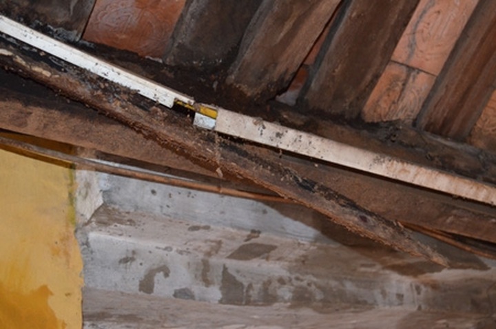 Hanoi’s One-pillar Pagoda faces serious deterioration - 5