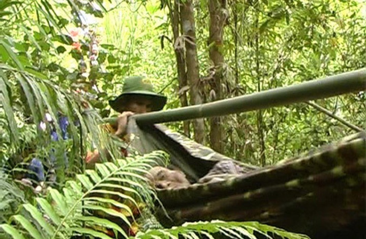 Quang Ngai police save father and son living in forest for 40 years - 2