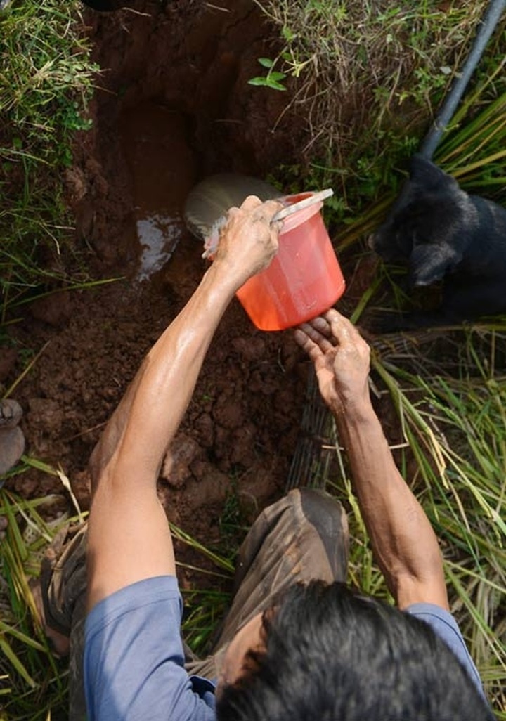 Rats hunted for special dishes in Hanoi - 3 Rats hunted for special dishes in Hanoi - 3