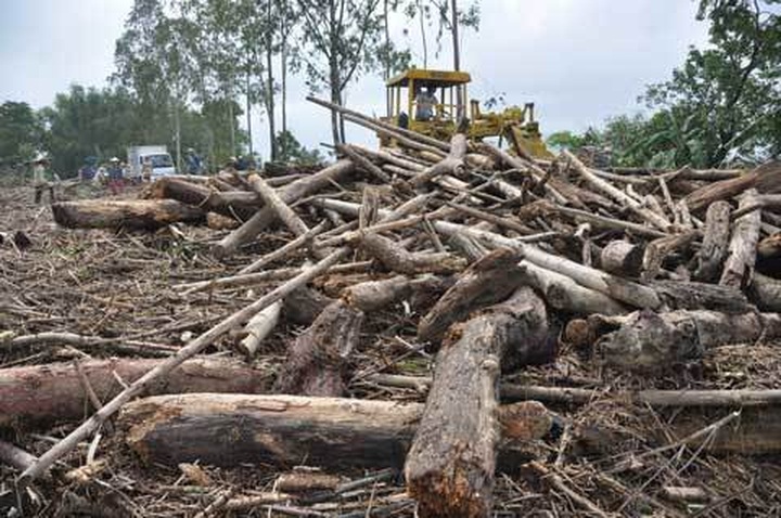People search for lumber after floods - 1