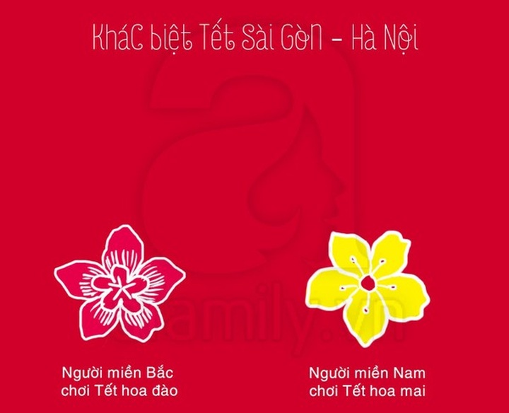 Tet in Hanoi and HCM City: Same but different - 1 Tet in Hanoi and HCM City: Same but different - 1
