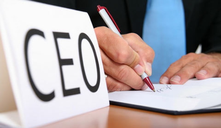 Large companies' management shake up reflects broad ambitions - 1