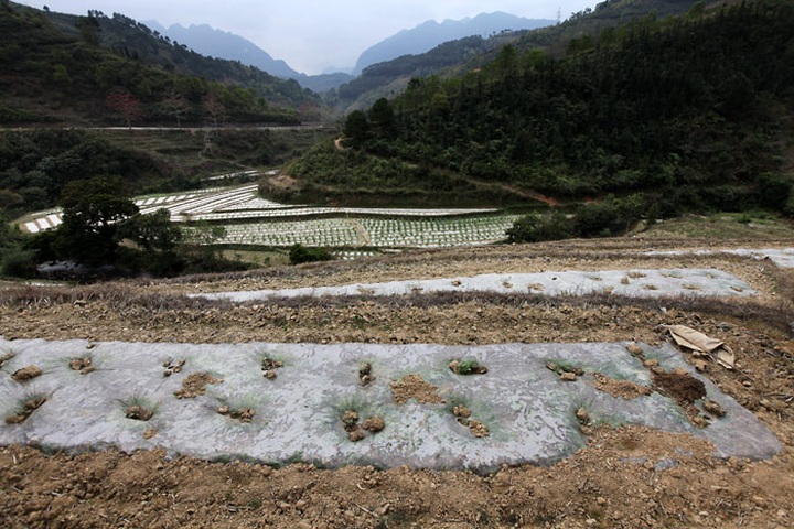 Residents of Dong Van Plateau face serious water shortage - 9