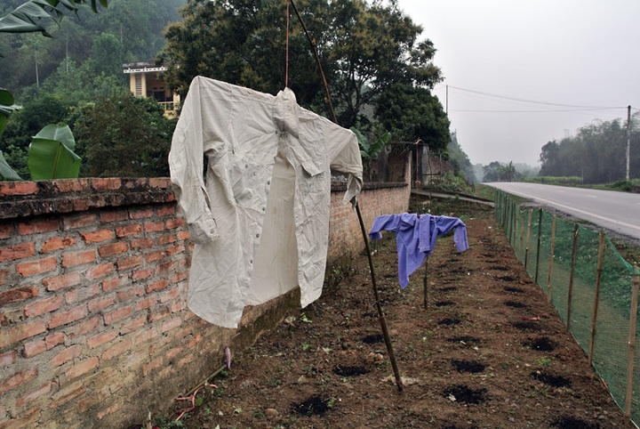 Scarecrows for mice on Vietnamese fields - 4 Scarecrows for mice on Vietnamese fields - 4
