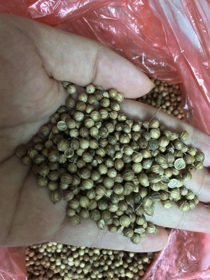 Measles causes over 100 child deaths in Vietnam, continues to spread - 3