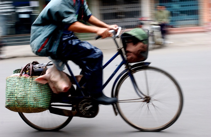 Images of Vietnamese bicycles - 3