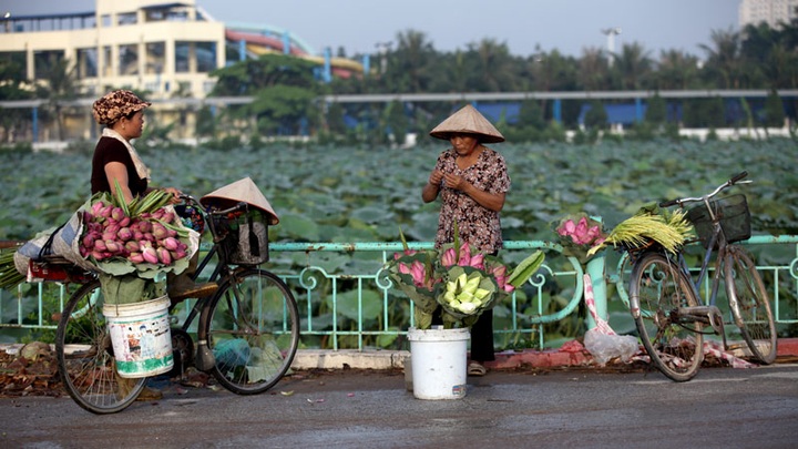 Images of Vietnamese bicycles - 5