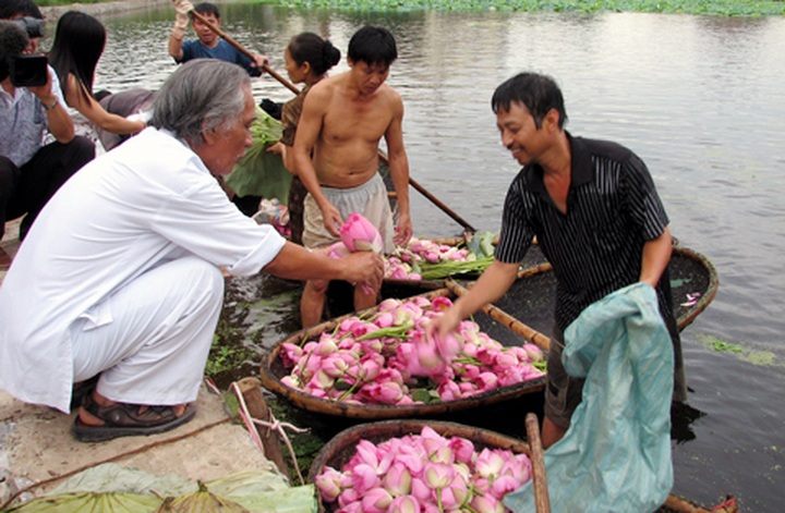 Artisan preserves lotus tea making in Hanoi - 1