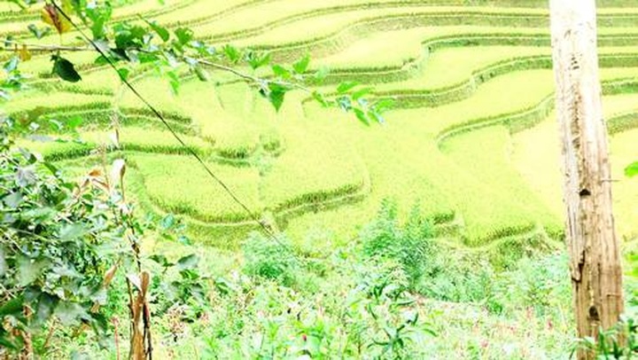 Breathtaking terraced rice fields of Mu Cang Chai - 6 Breathtaking terraced rice fields of Mu Cang Chai - 6