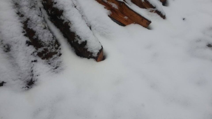 Snow falls in Sapa - 10