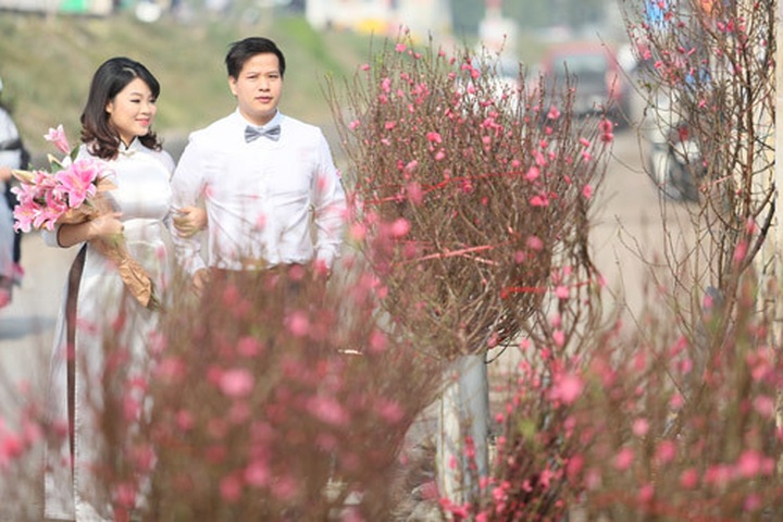 Young flock to see Nhat Tan peach blossoms - 4 Young flock to see Nhat Tan peach blossoms - 4