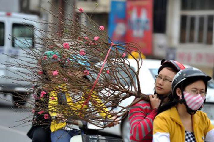 Vietnam to have warmer, drier Tet - 1 Vietnam to have warmer, drier Tet - 1